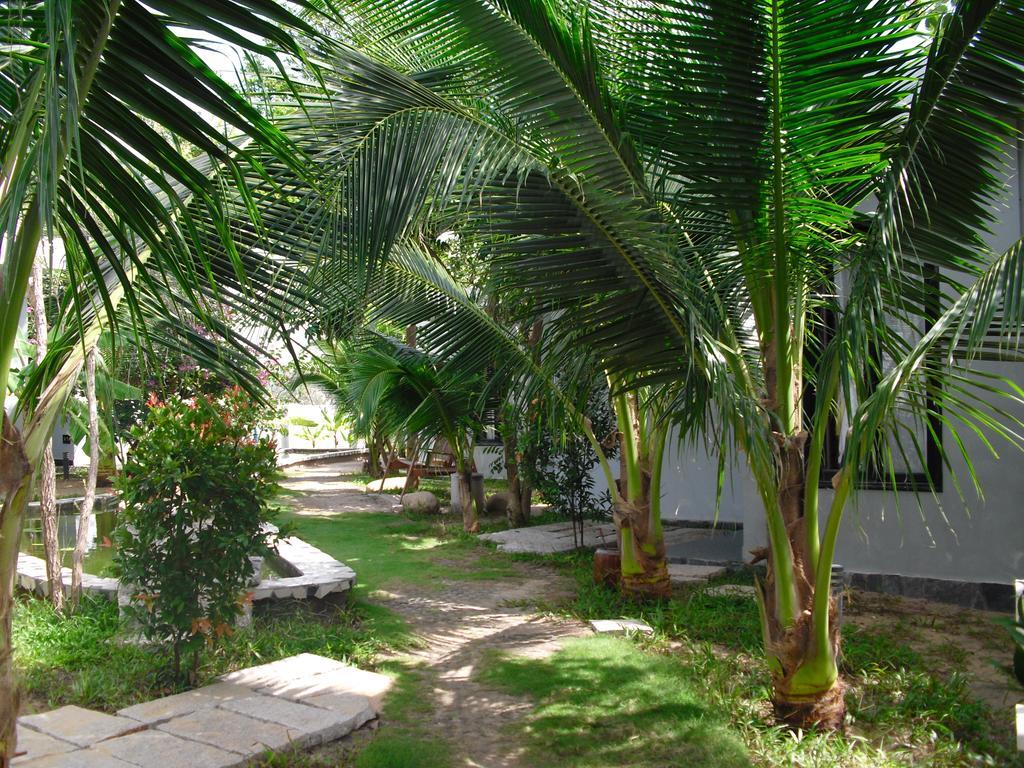Villa Nguyen Minihouse