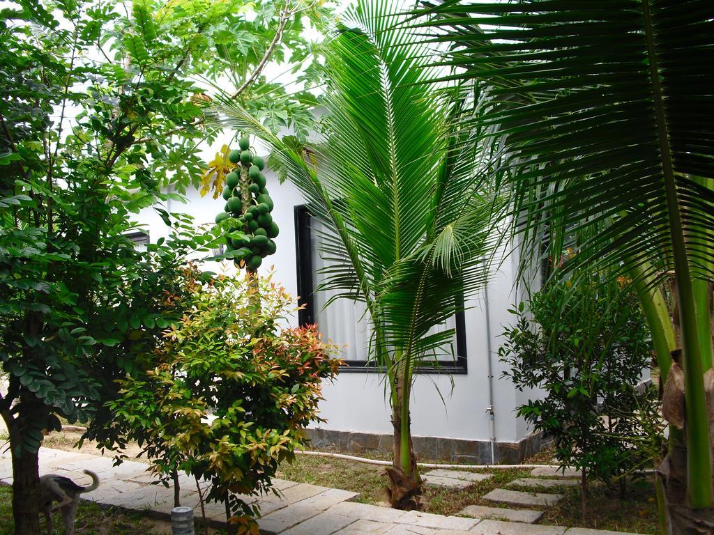 Nguyen Minihouse