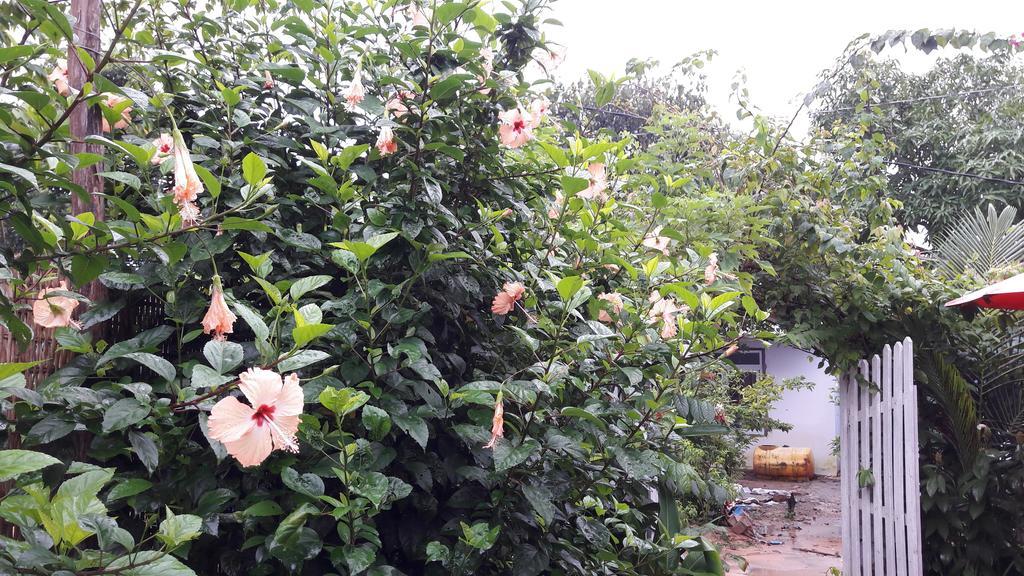 Seaside Homestay Duong Dong (Phu Quoc)