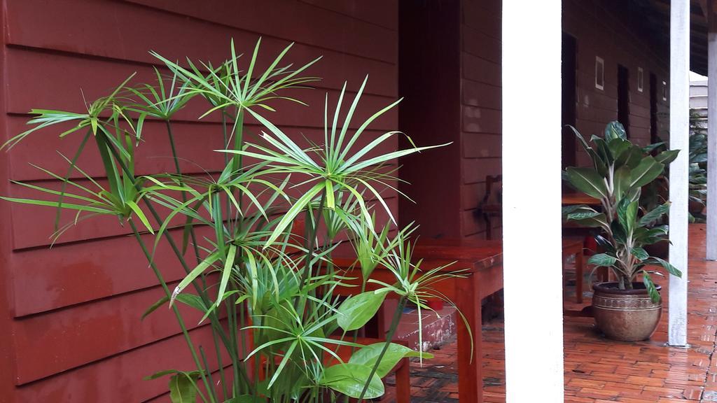 Seaside Homestay Bed & Breakfast Duong Dong (Phu Quoc)