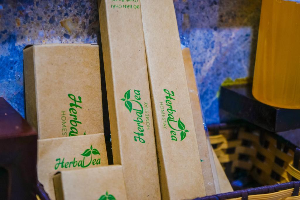 Ở trọ Herbal Tea Hội An