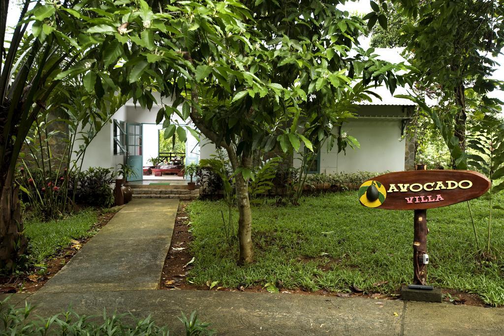 Resort Madagui Forest