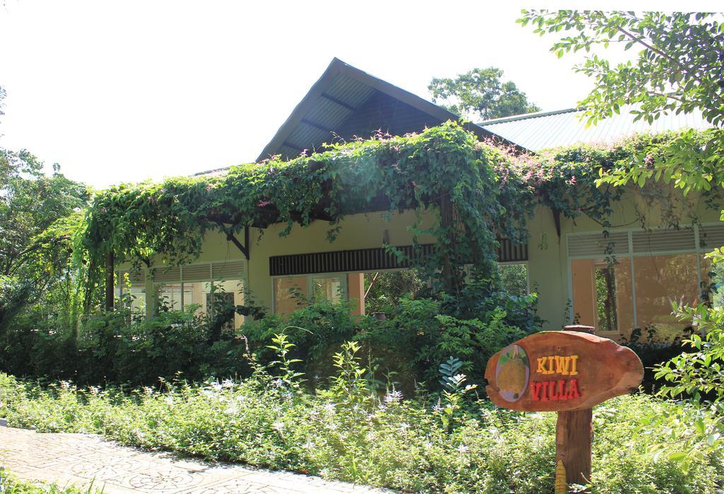 Madagui Forest Resort *