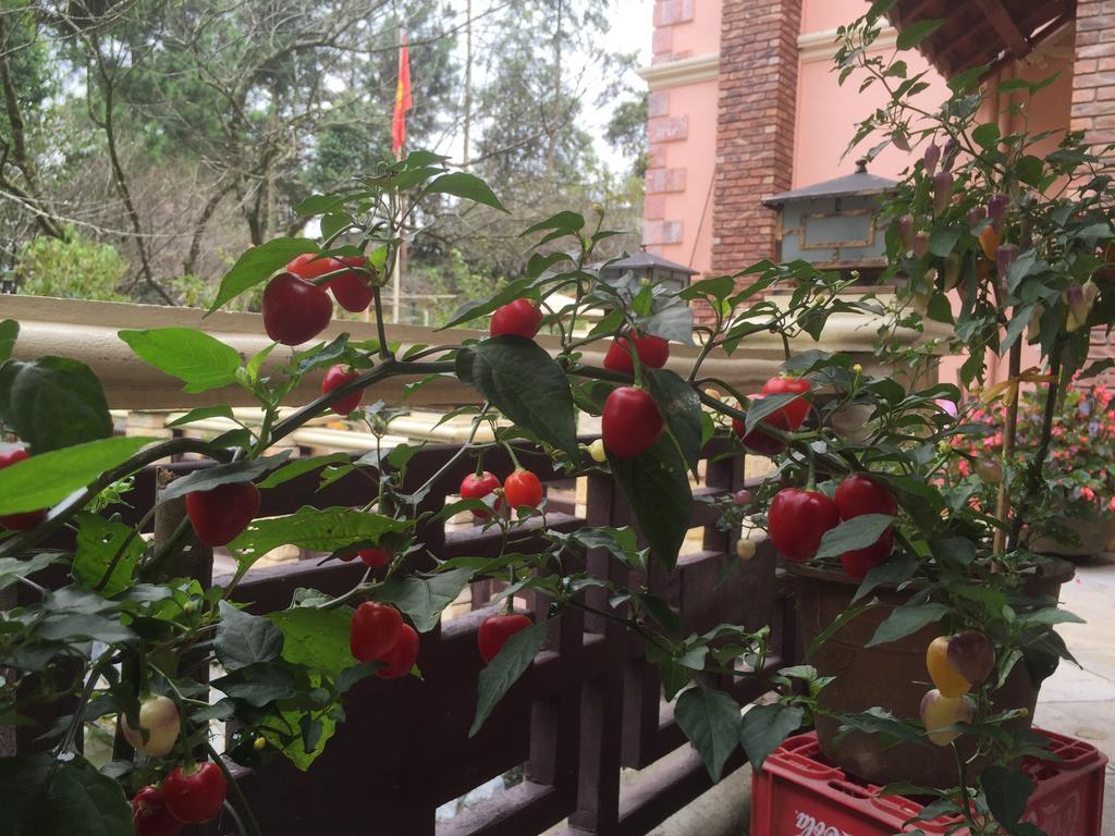Garden Bed & Breakfast 2*
