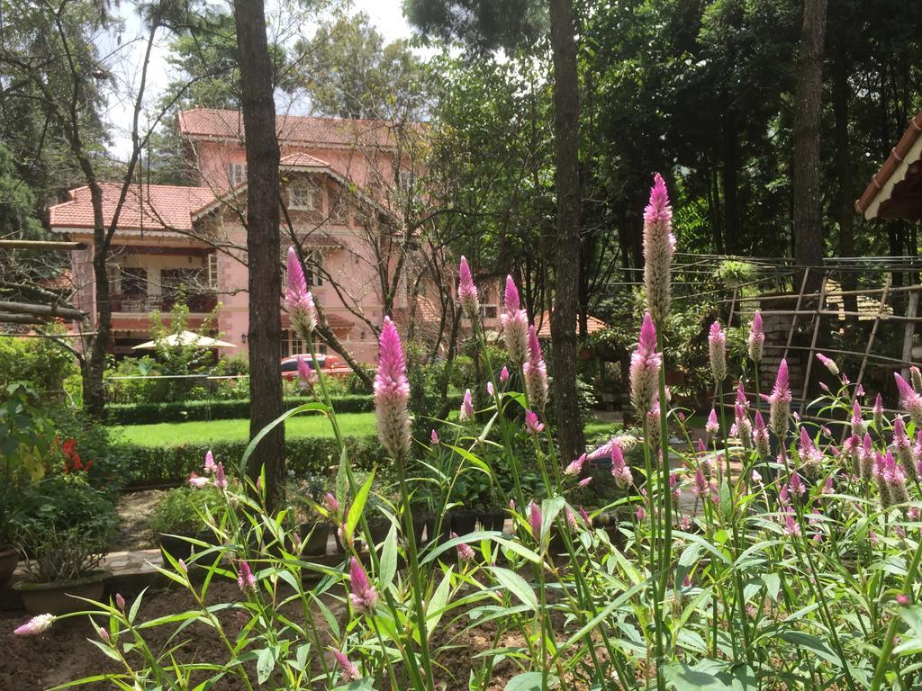 Garden Bed & Breakfast