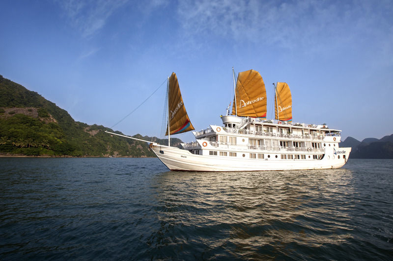 Aphrodite Cruise 4*
