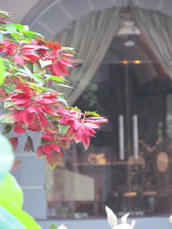 Saigon Park 3*