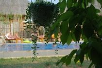 La Casa Resort