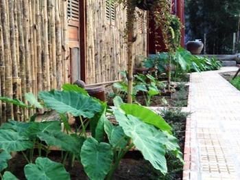 Homestay Lang Cau