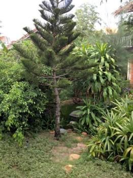 Tan Thanh Garden Privatunterkunft
