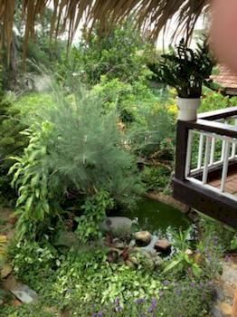 Tan Thanh Garden Privatunterkunft *