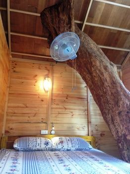 Giraffa Phu Quoc