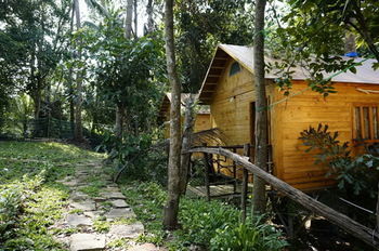 Giraffa Phu Quoc