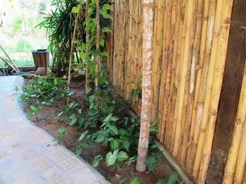 Lang Cau Phu Quoc