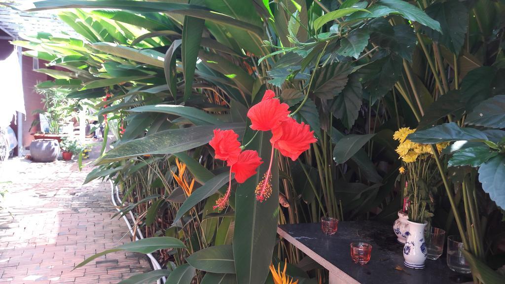 Seaside Homestay Bed & Breakfast Duong Dong (Phu Quoc)