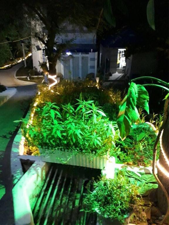 Nostress Guest house