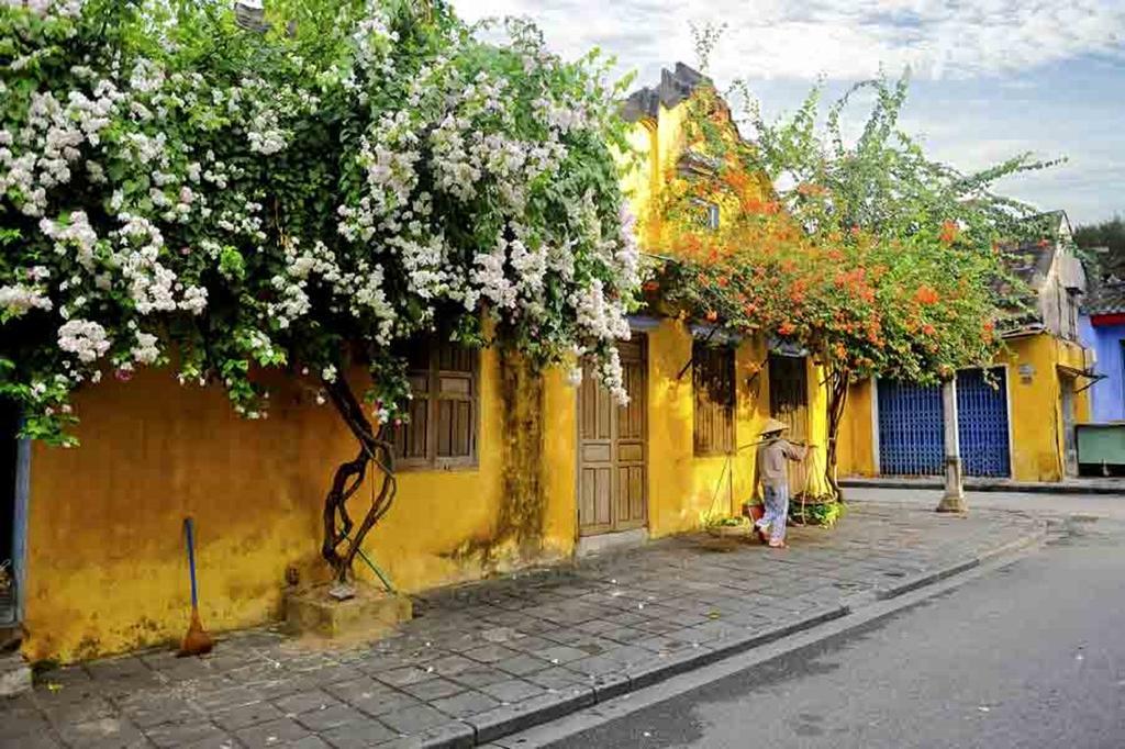 Nhà Dân Flame Flowers Ở trọ *