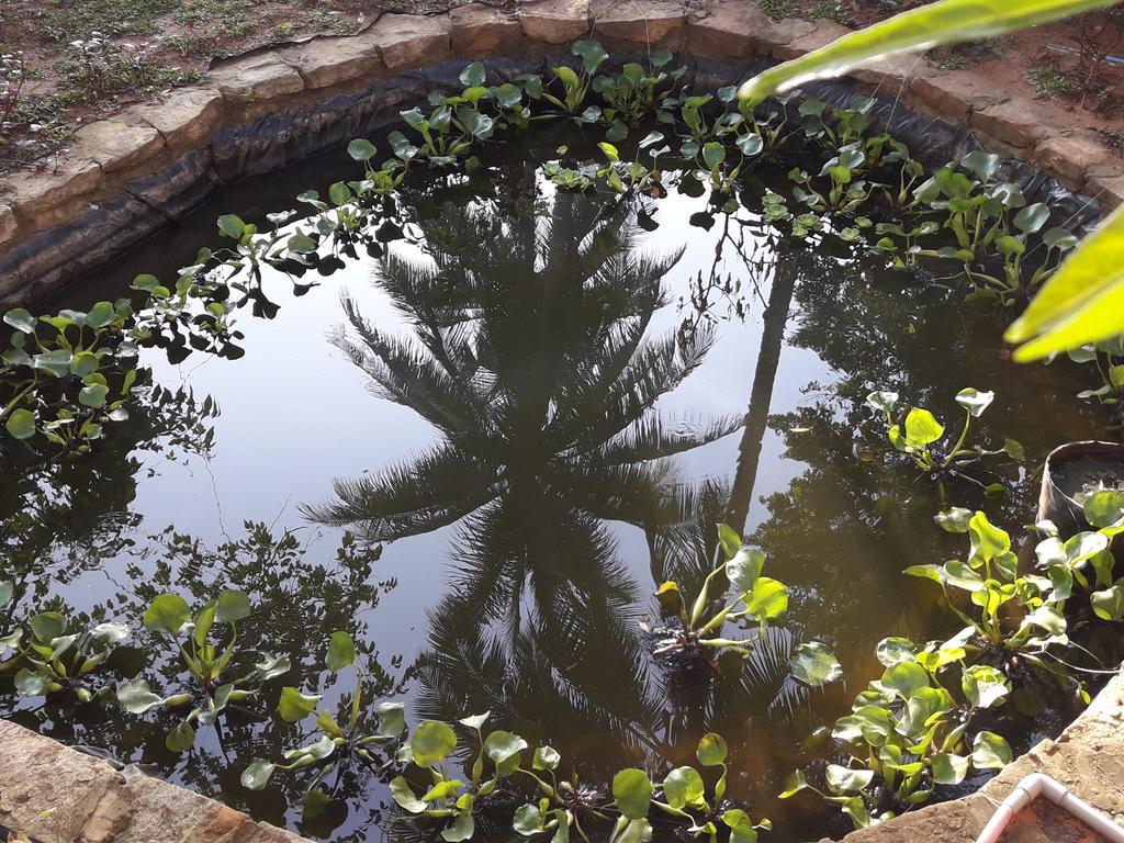 Guest house Giraffa Phu Quoc