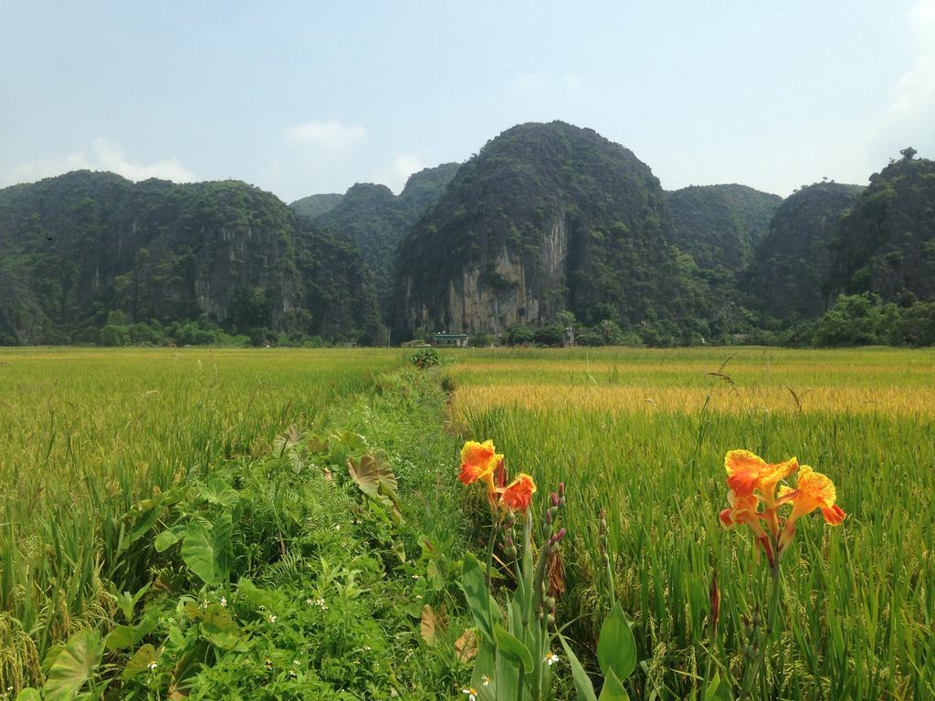 Homestay Tam Coc Mountain View
