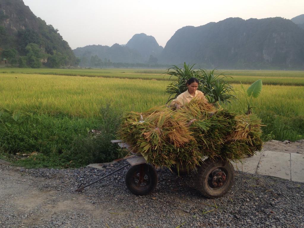 Tam Coc Mountain View