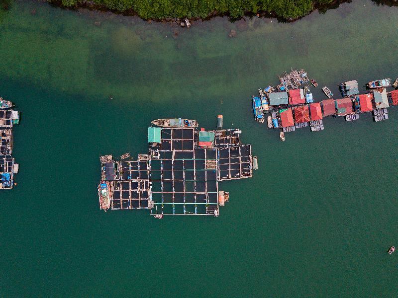  Heritage Line Violet Cruise - Halong Bay & Lan Ha Bay 5*