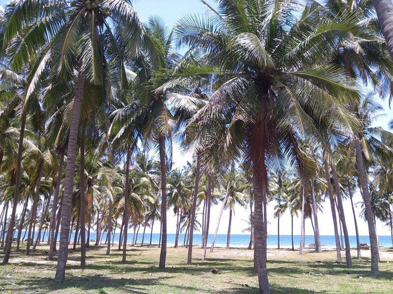 Hoang Nga Garden Guest house