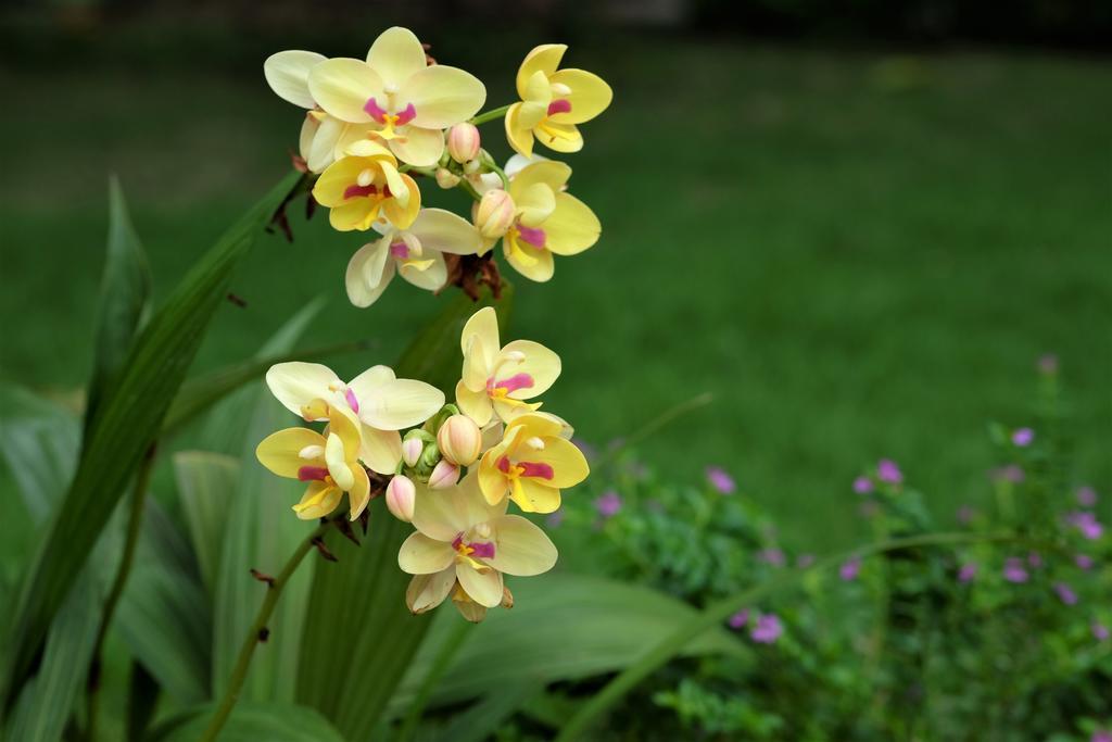 Myplace Siena Garden 3* Phu Quoc
