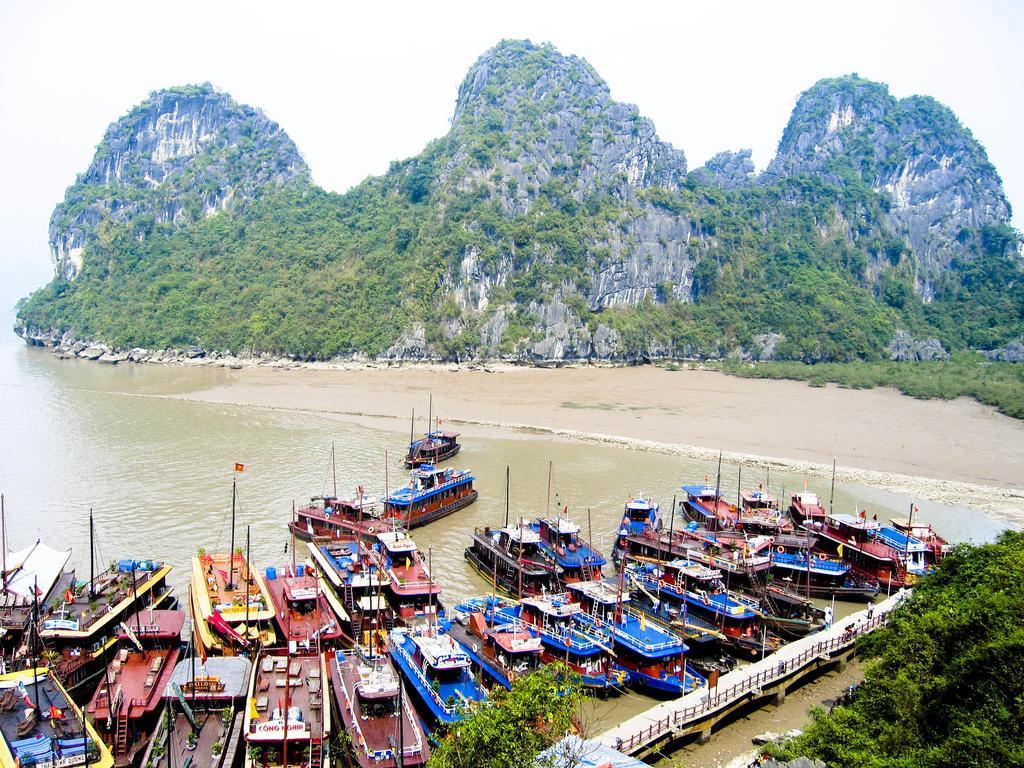 Babycat & Coffee Hotel Ha Long