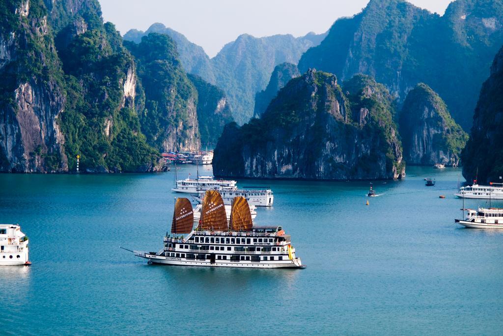 Babycat & Coffee Hotel Ha Long