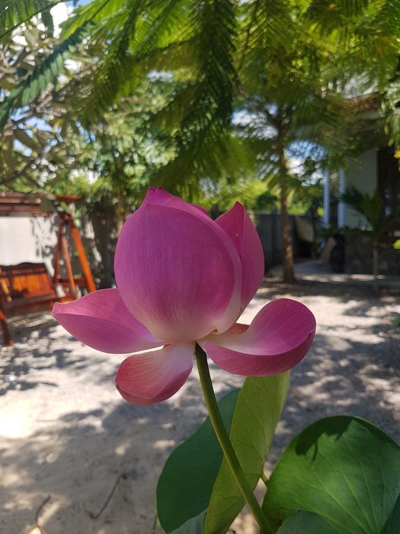 Ocean House Guest house Mui Ne