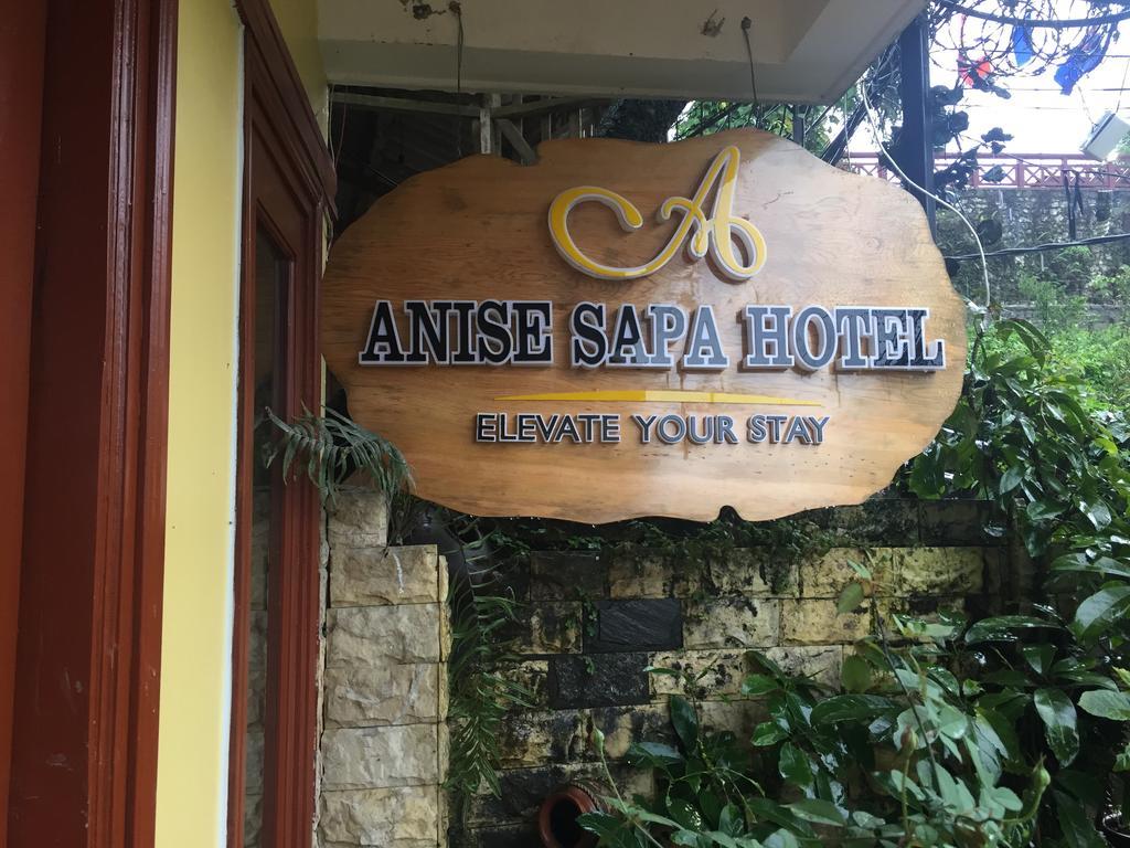 Anise