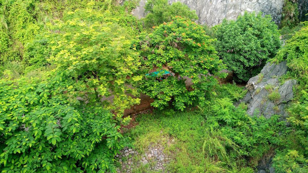Hung Long Harbour Cat Ba Hotel 3*