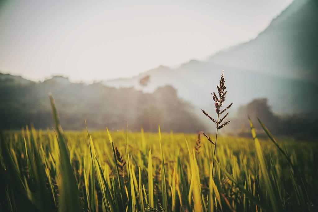 Mai Chau Villas 3*