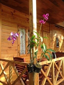 Guest house Giraffa