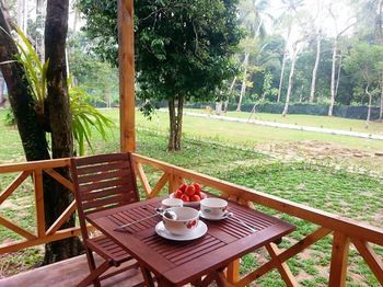 Giraffa Guest house 2*