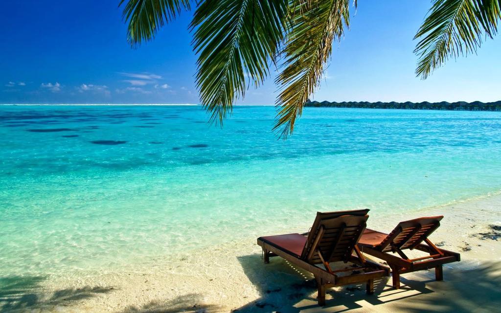 Apartment Seaside *