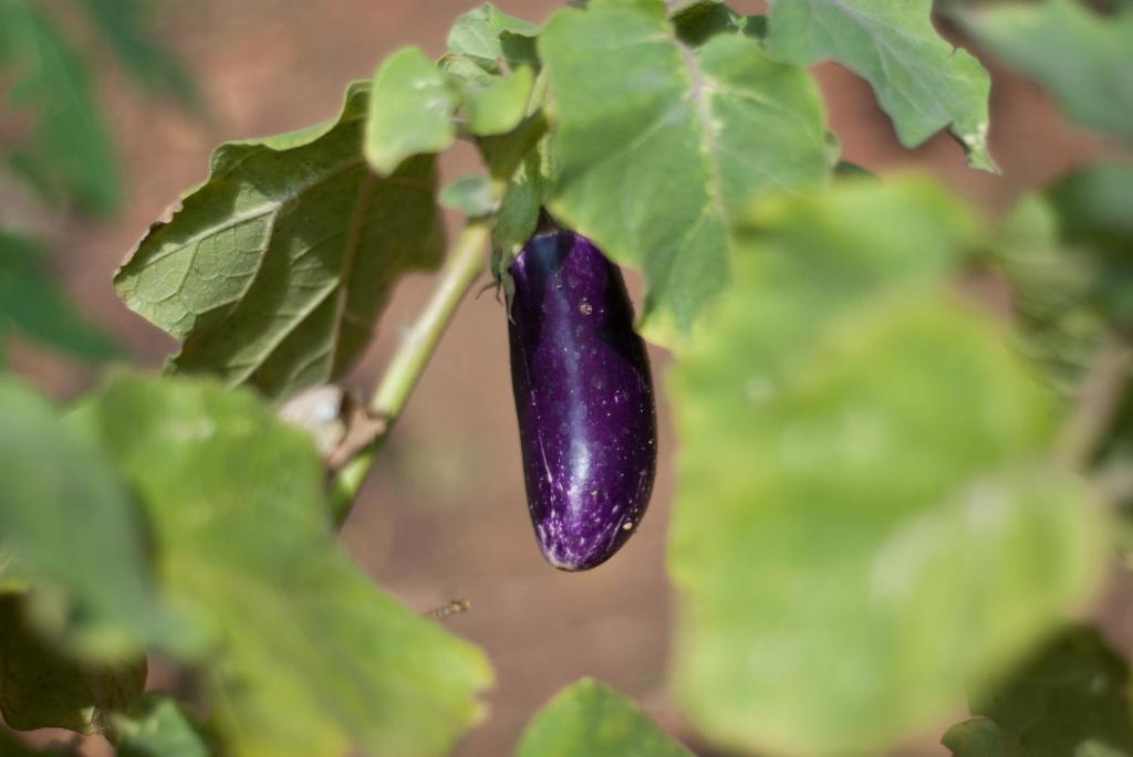 Xom Chai Khách sạn