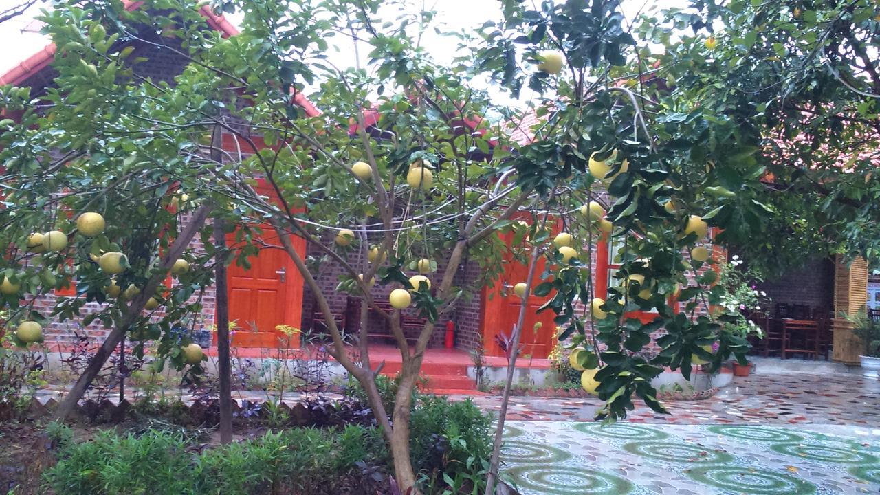 Homestay Tam Coc Thanh