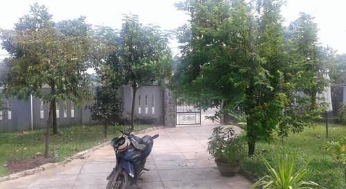 Homestay Gingergrass