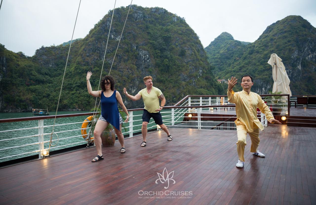  Orchid Trendy Cruise