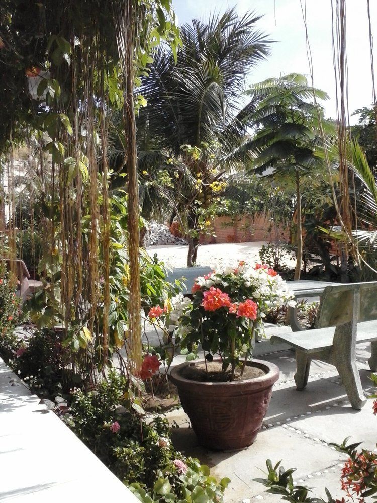 Duc Thao Guest house
