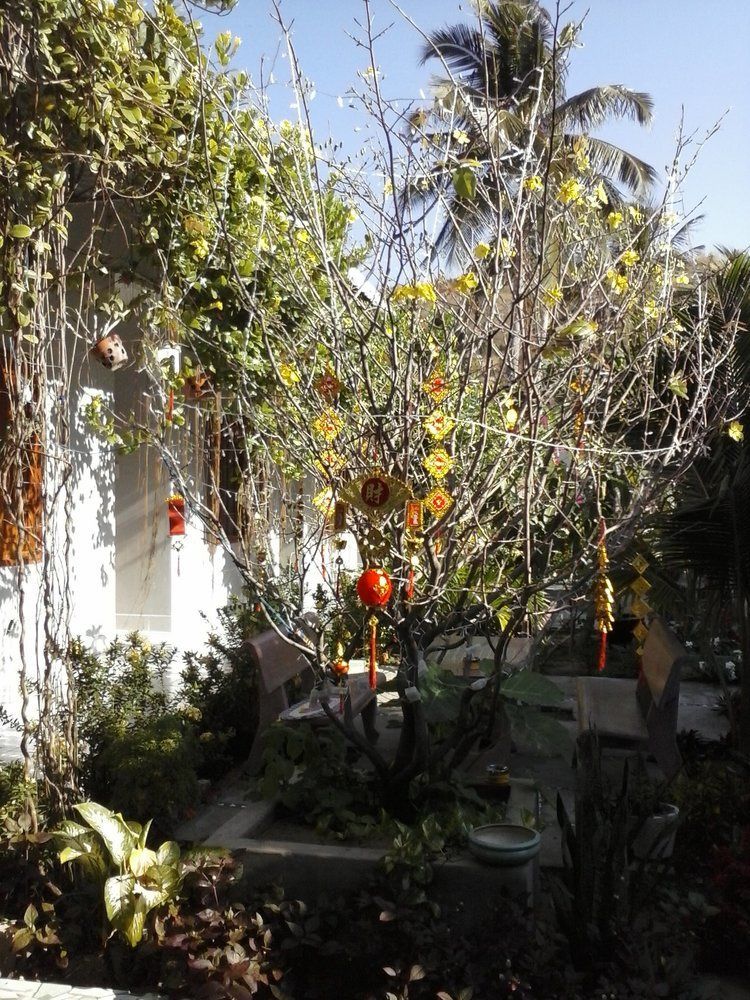 Duc Thao Guest house 2*