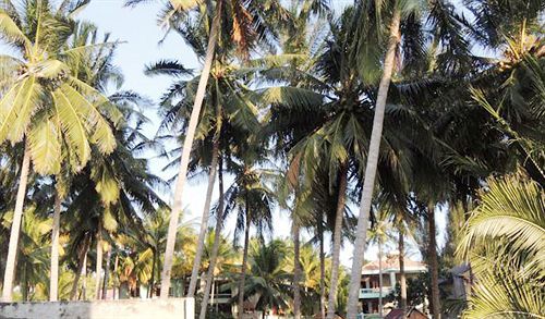 Hotel Bach Duong Phan Thiet