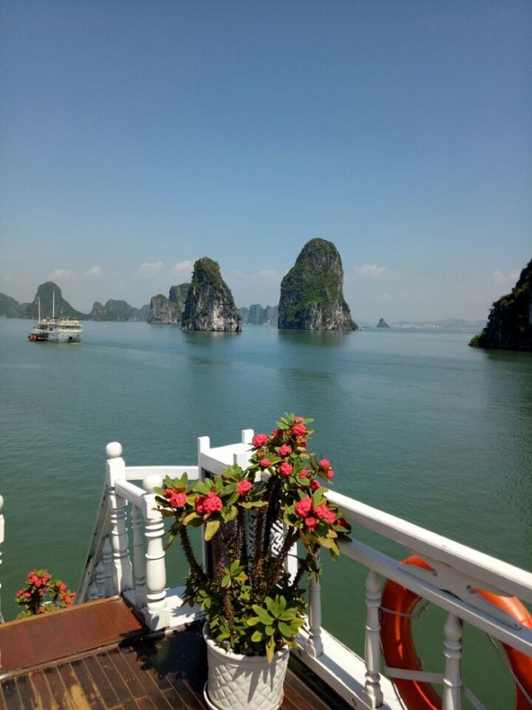 Halong Lavender Cruises