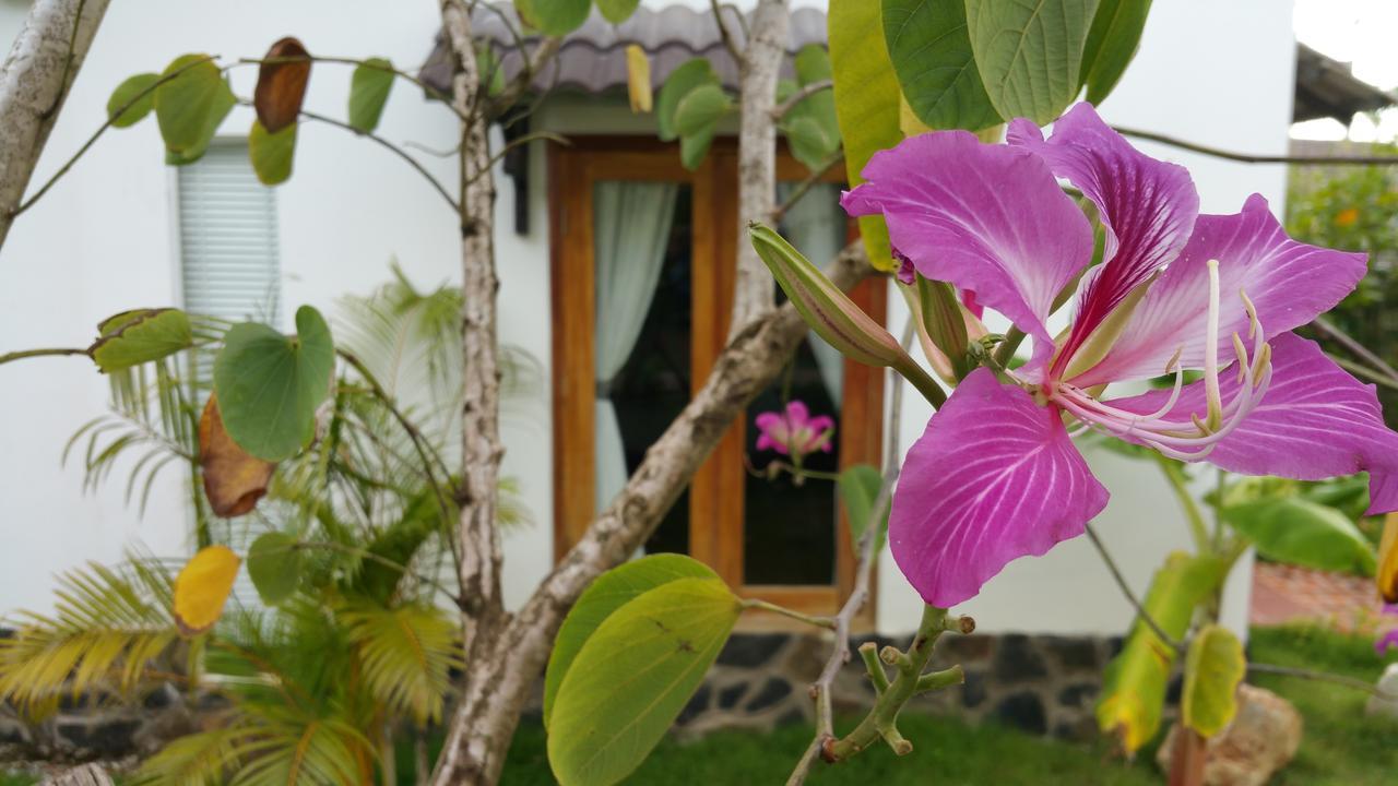 Resort White Lotus