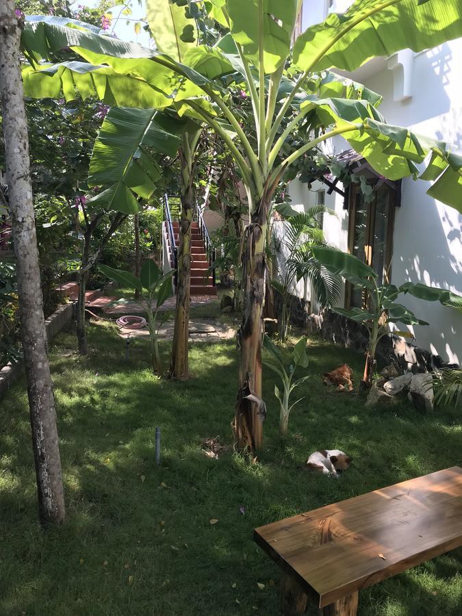 White Lotus Resort