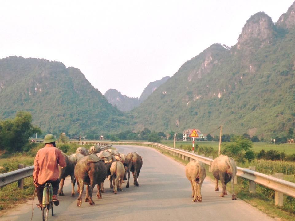 Phong Nha Midtown * Cu Lac