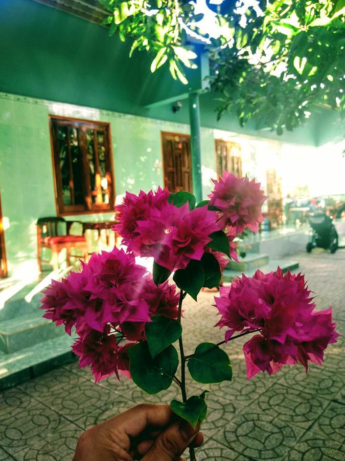 Guest house Anh Linh *