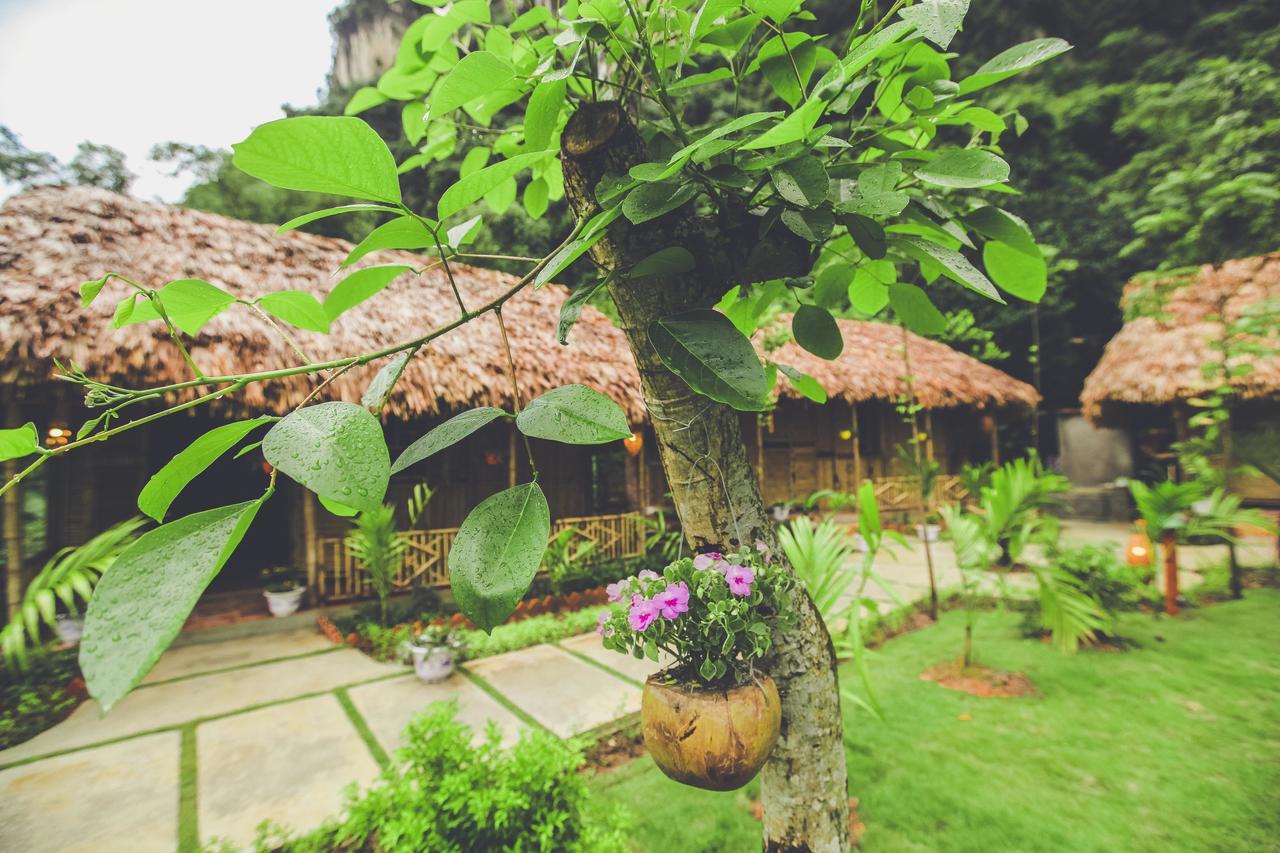 Tam Coc Rice Fields Resort