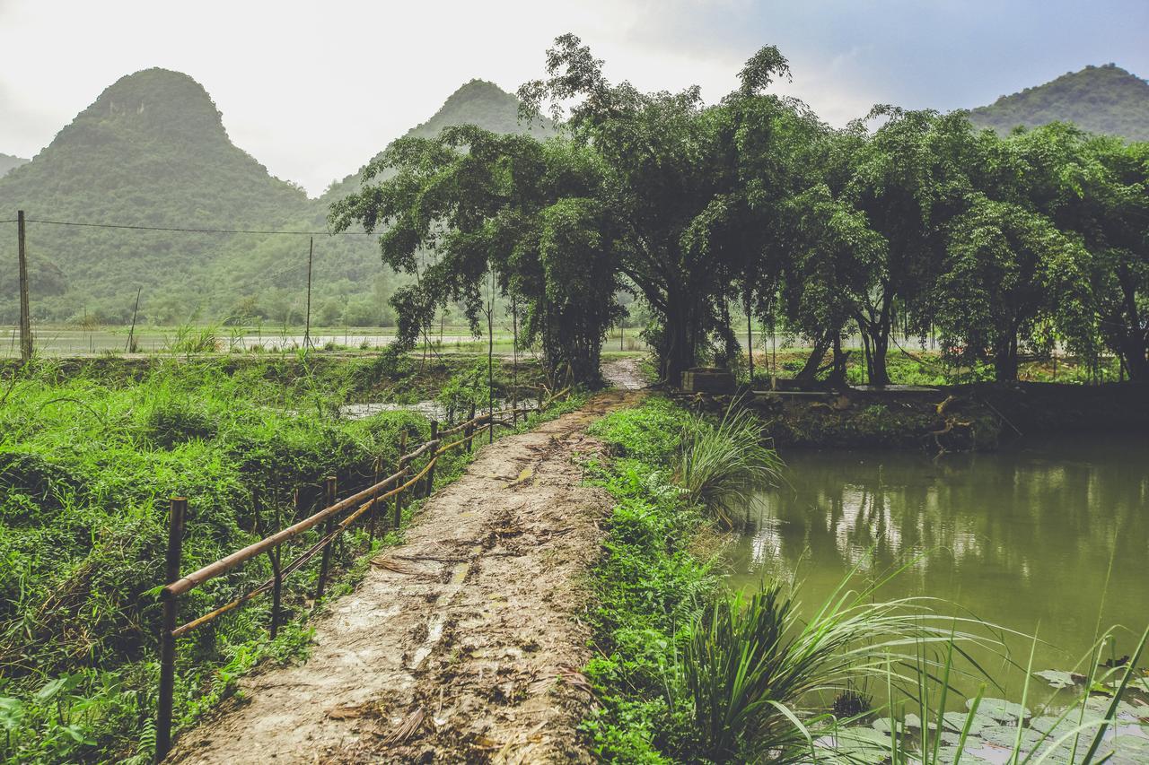 Tam Coc Rice Fields Resort 3*